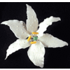Casablanca Lily GumPaste Flowers