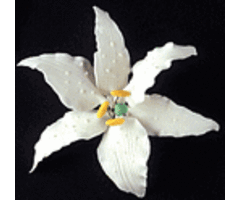 Casablanca Lily GumPaste Flowers