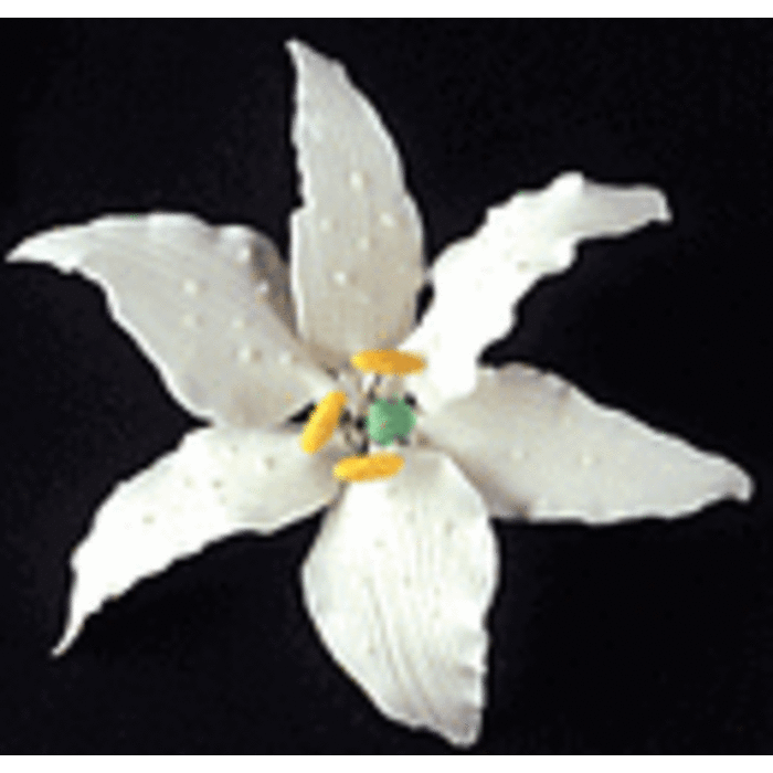 Casablanca Lily GumPaste Flowers