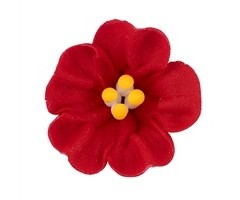 Red Petunia GumPaste Flowers