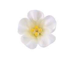 White Petunia GumPaste Flowers