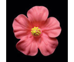 Pink Hibiscus GumPaste Flowers