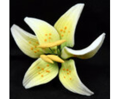 Yellow Mini Stargazer GumPaste Flowers