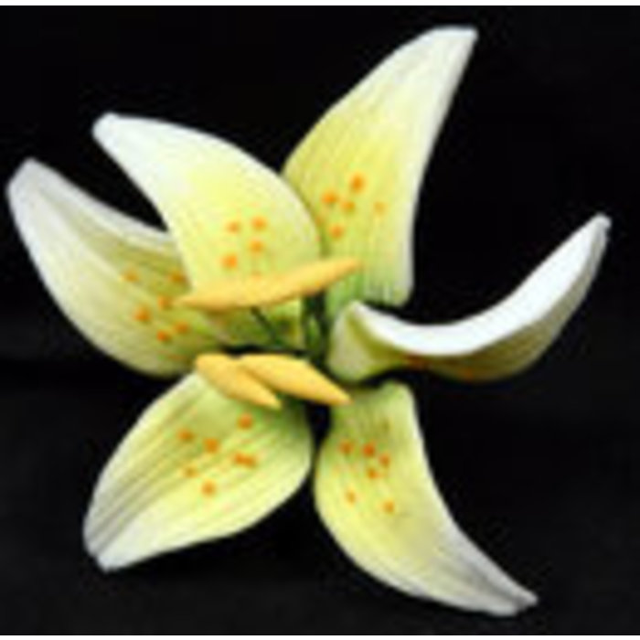 Yellow Mini Stargazer GumPaste Flowers