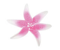 Pink Stargazer GumPaste Flowers