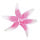 Pink Stargazer GumPaste Flowers