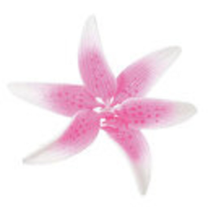 Pink Stargazer GumPaste Flowers