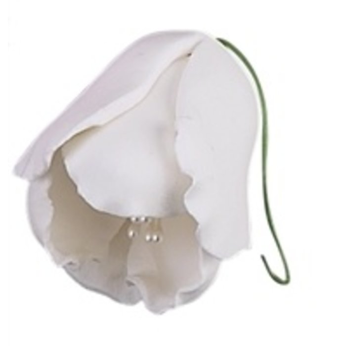 White Tulip Gum Paste Flowers