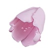 Pink Tulip GumPaste Flowers