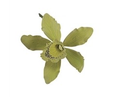 Green Australian Cymbidium Orchid GumPaste Flowers