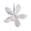 Australian Cymbidium Orchid with White with pink highlights GumPaste Flowers