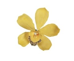 Yellow Australian Cymbidium Orchid GumPaste Flowers