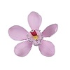 Pink Australian Cymbidium Orchid GumPaste Flowers