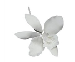 White Orchid Gum Paste Flowers