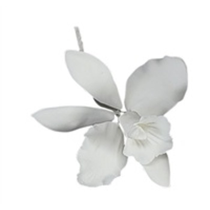 White Orchid GumPaste Flowers Small