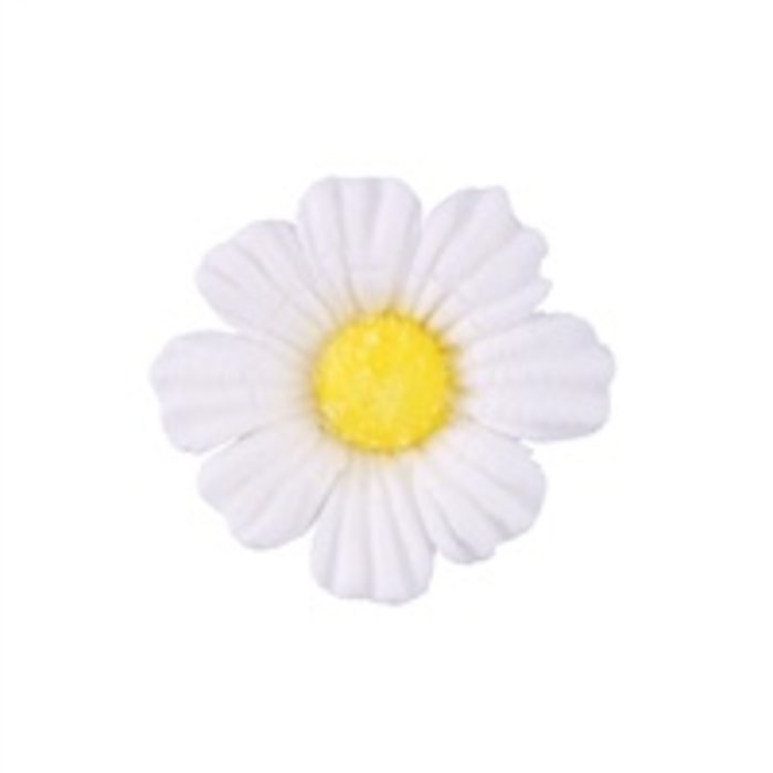 White Daisy GumPaste Flowers 1" 6 per order