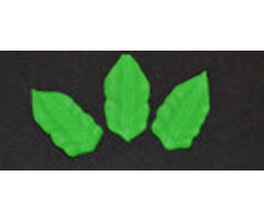 Pre-made royal icing leaves 12
