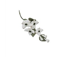 A Spray of Dogwood GumPaste flowers
