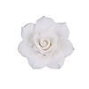Gardenia GumPaste Flowers