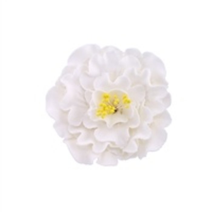 White Peony GumPaste Flowers