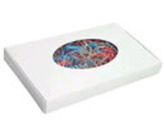 White candy boxes with Window 1 pound 6 per order.  Sku 1360