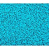Teal Jimmies Cookie Sprinkles 1 oz