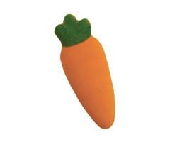Medium Carrot