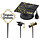 The Future is Bright Graduation Cake Topper Set