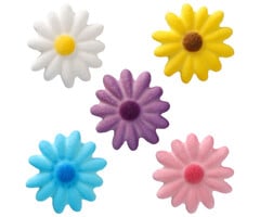 Medium Assorted Daisies