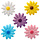 Medium Assorted Daisies
