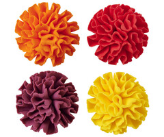 Edible Marigold Flowers 4 pack