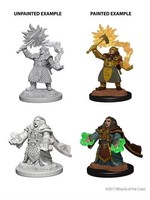 Dwarf Female Cleric D & D Miniatures Unpainted