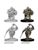 Dwarf Female Fighter D & D Miniatures unpainted