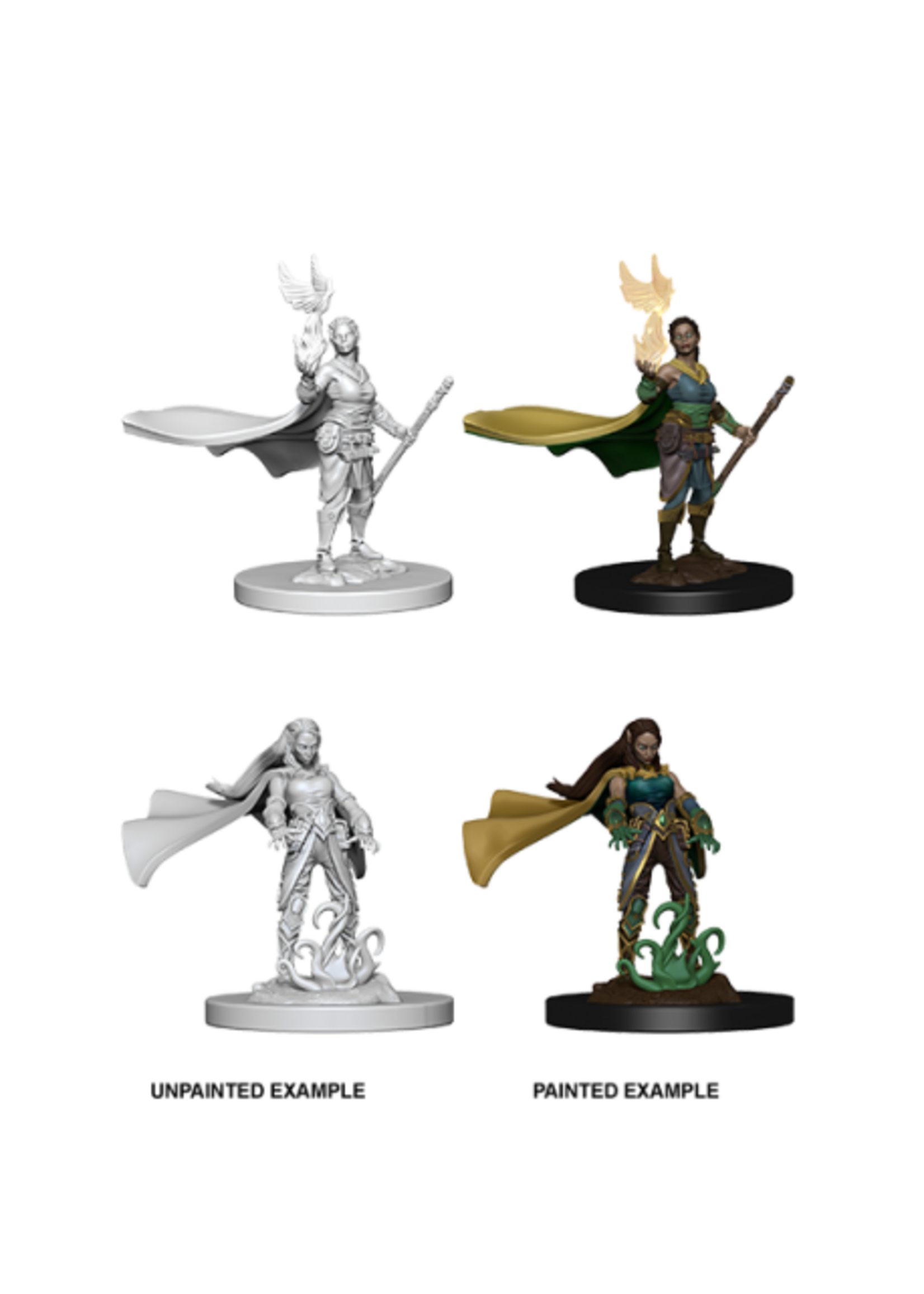 Elf Female Druid D & D miniatures Unpainted