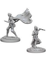 Elf Female rogue Pathfinder Miniatures