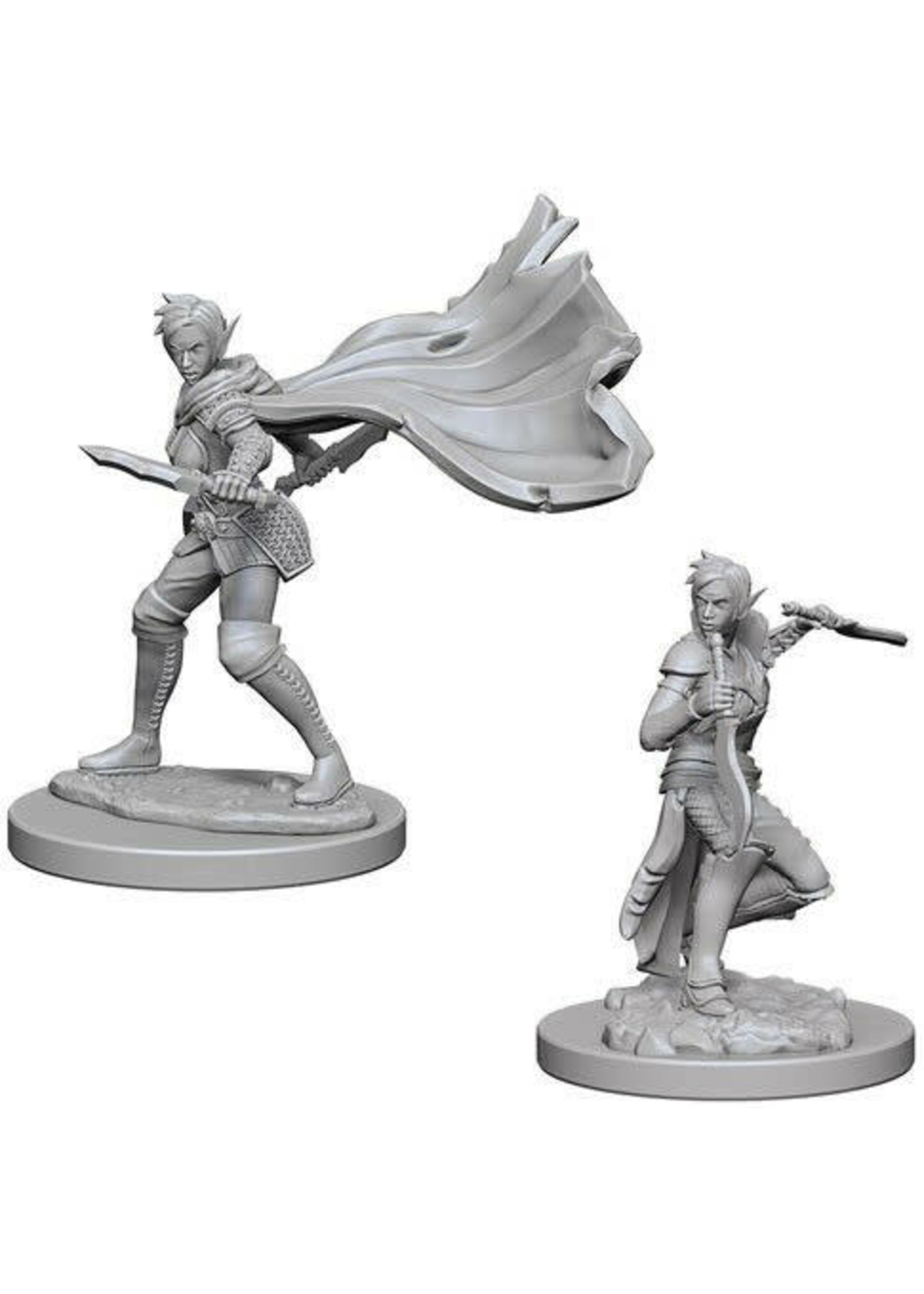 Elf Female rogue Pathfinder Miniatures