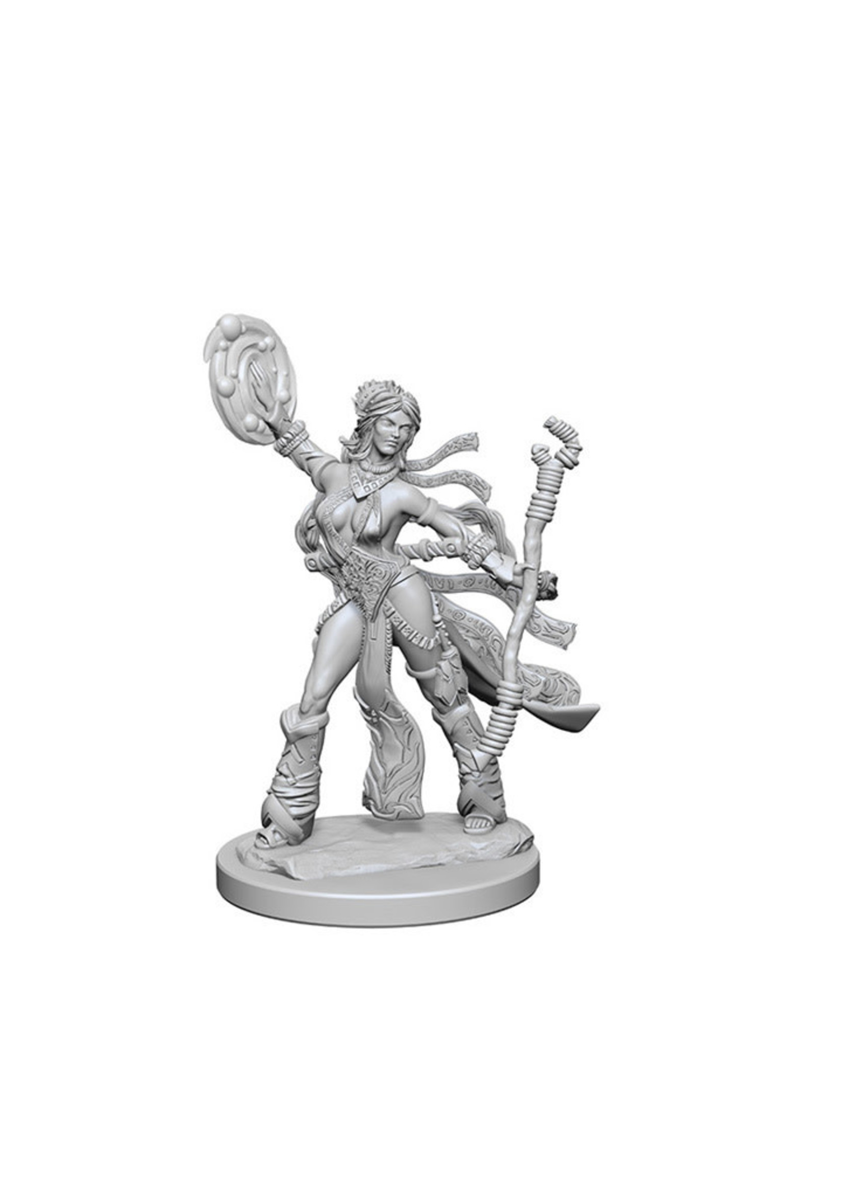 Human Female Sorcerer Pathfinder Miniatures