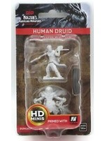 Human Male Druid D & D