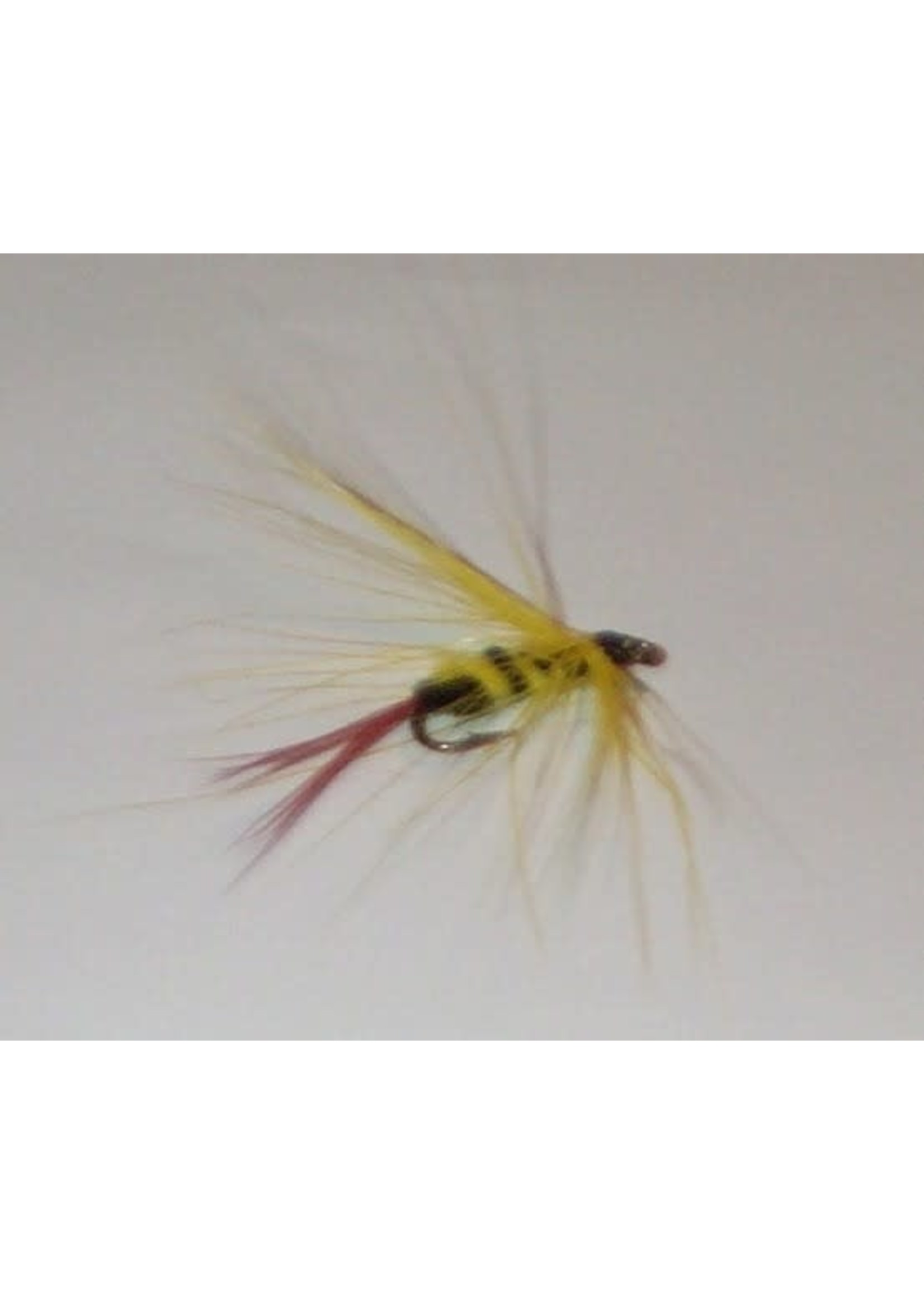One of Joe's hand tied Flies Called The Bumble Bee