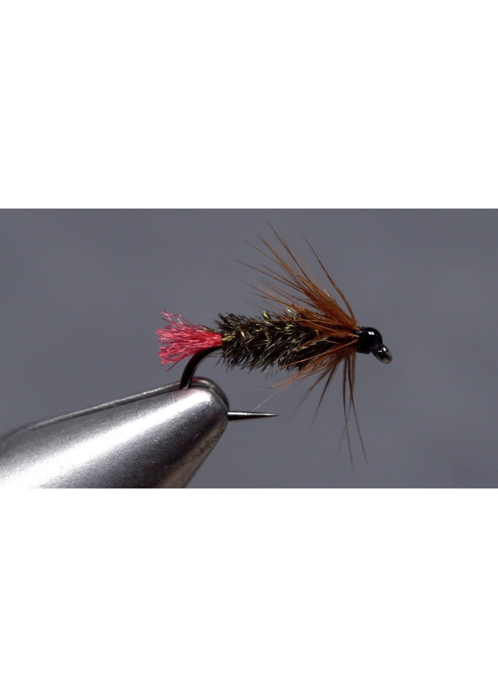 One Of Joe's Hand Tied Flies Called The Red Tag