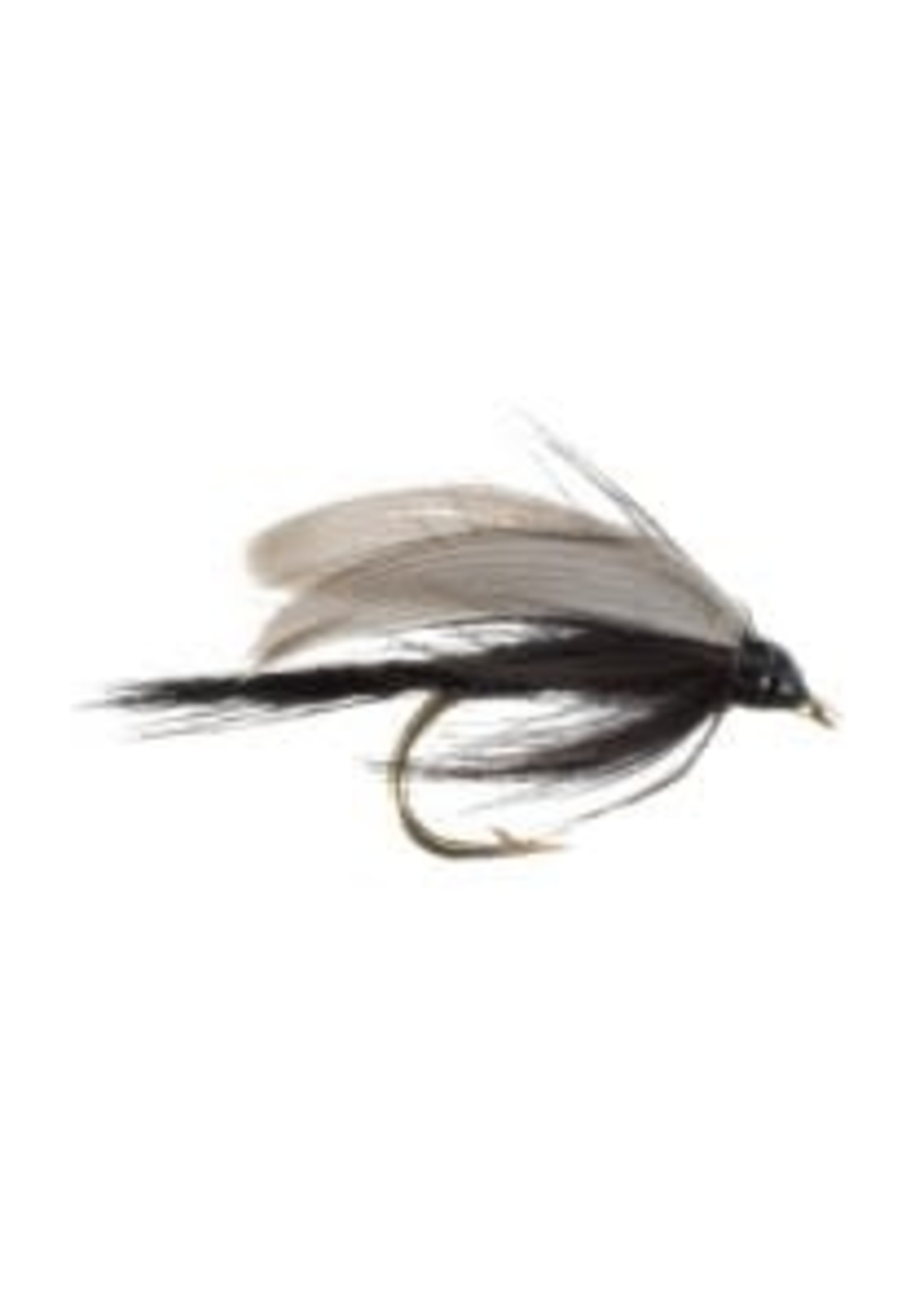 Wet Fly : Black Gnat hook size 10 single