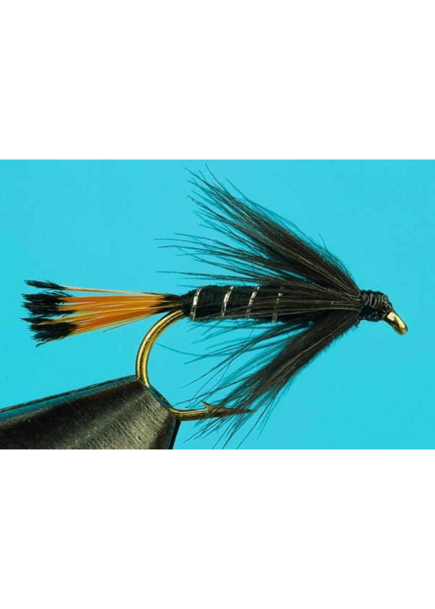 Black Pennell Wet Fly