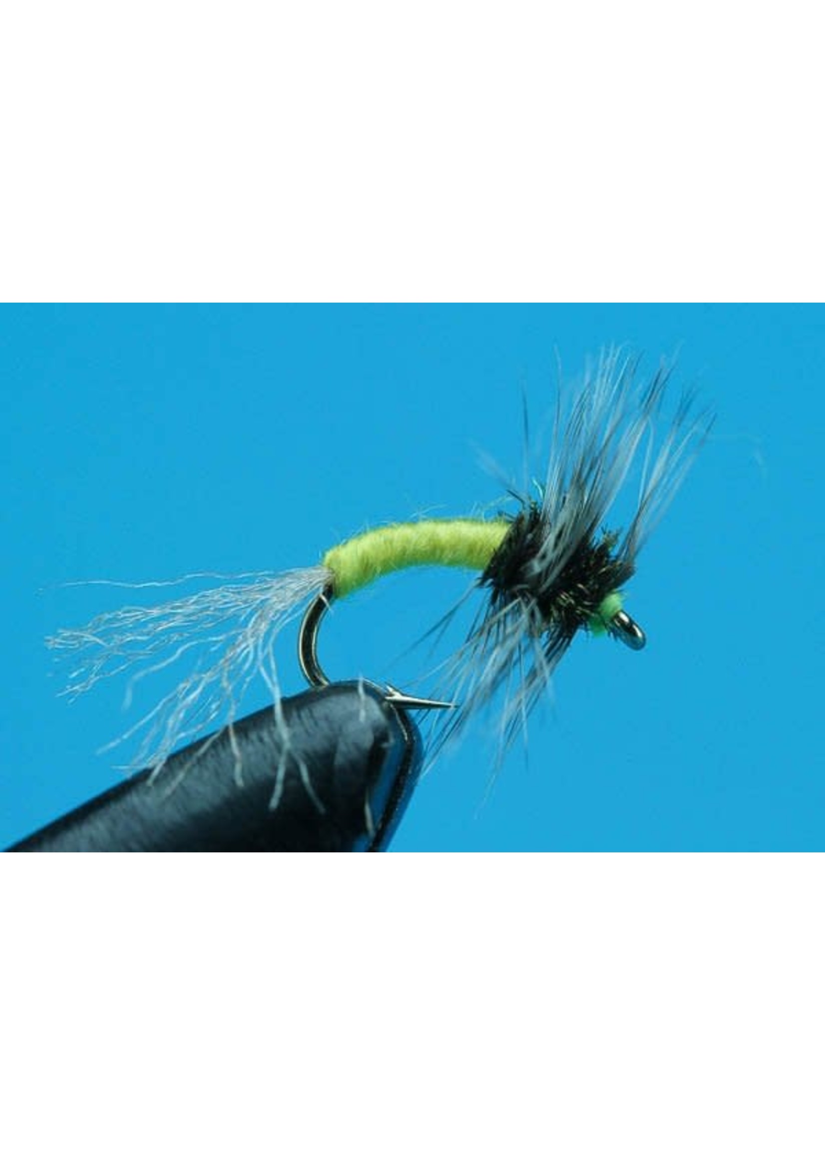 Griffith Gnats Emerger