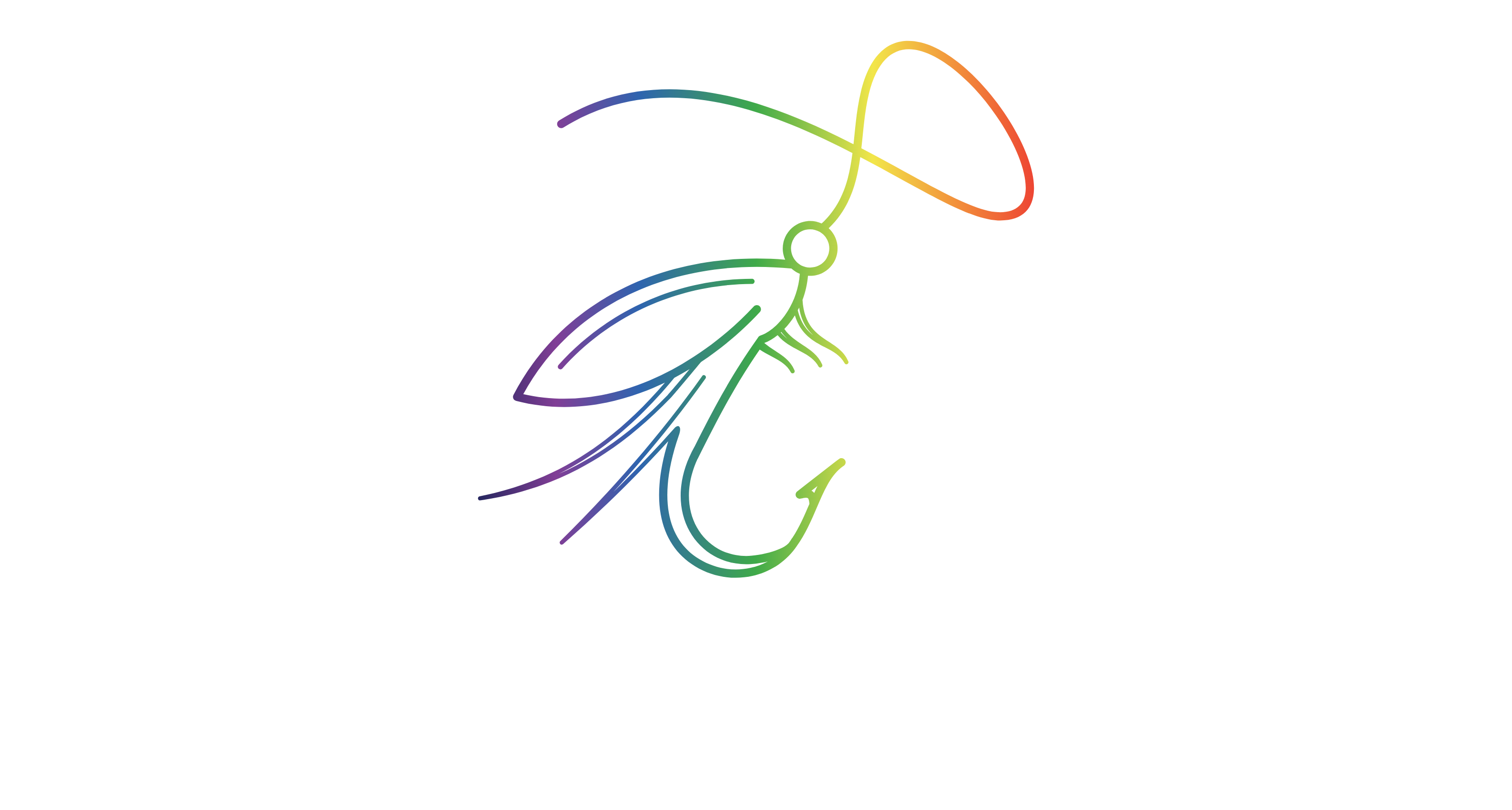 Joe's Gaming and Fly Shop
