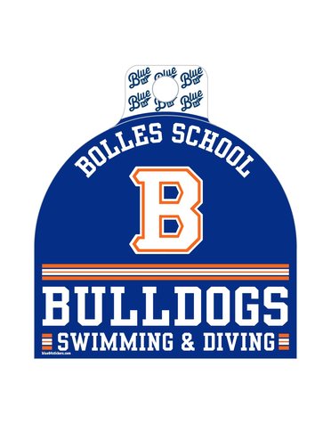 Blue84 Swimming/Diving Decal