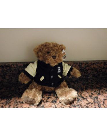 MCM Brands Stuffed Varsity Bear