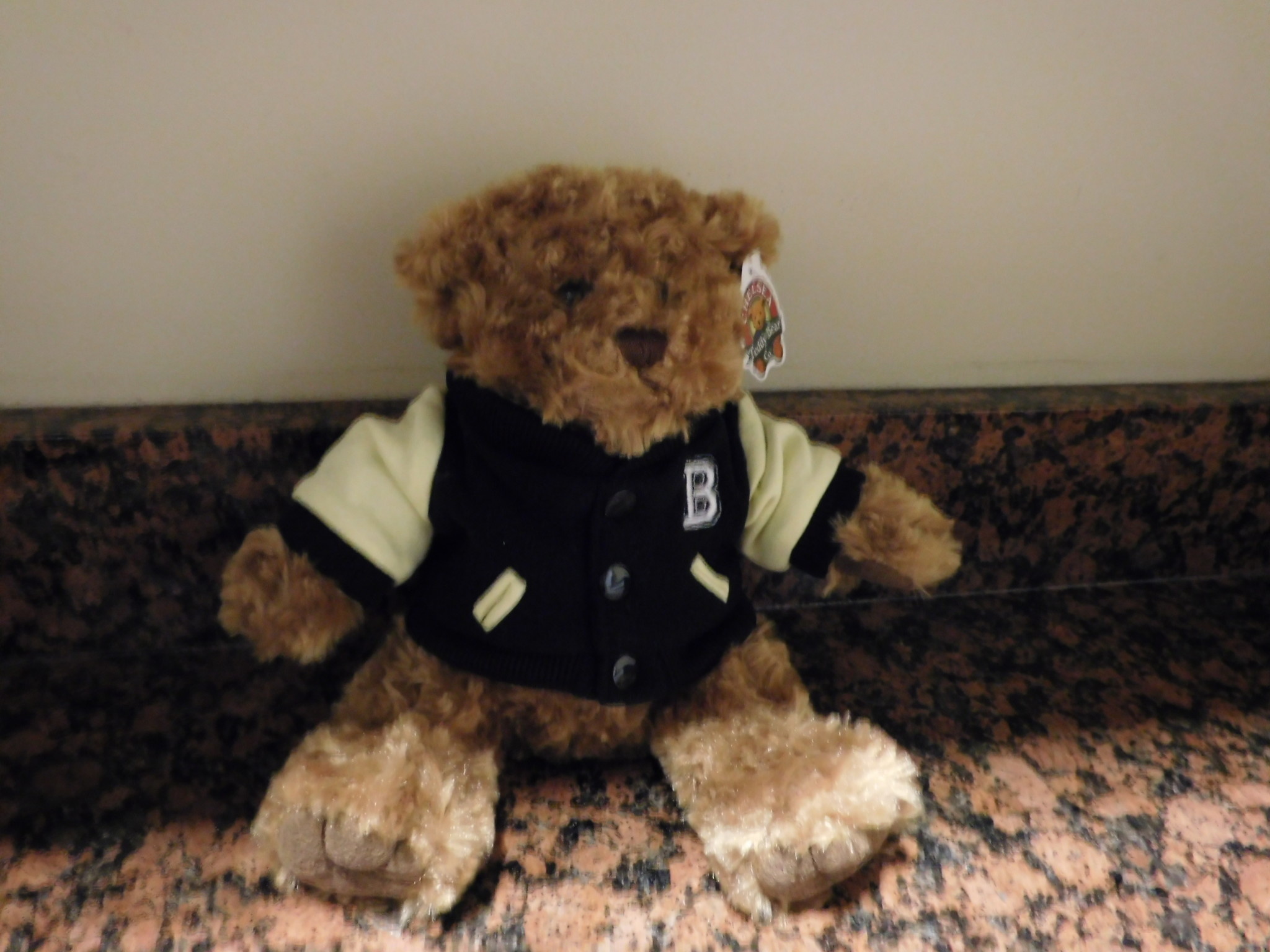 MCM Brands Stuffed Varsity Bear