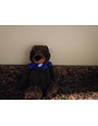 MCM Brands Stuffed Fuzzy Bunch Bear