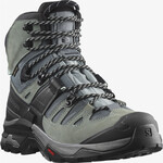 Salomon Salomon Ws Quest 4 GTX Boot