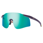 Smith Smith Defy Sunglasses